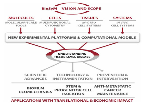 about biosym